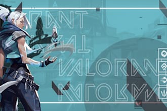 do valorant coaching for beginner
