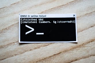 programming, customization of various computer language scripts