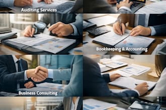 do accounting in tally and busy software