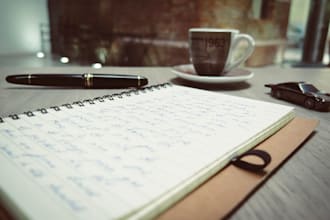 write professional articles blog posts and reports