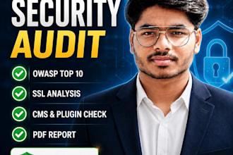 perform a professional website security vulnerability scan