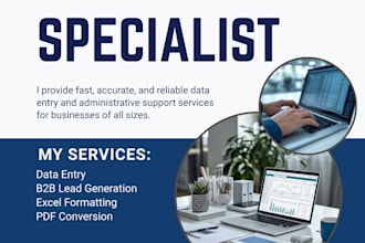 do excel data entry, web scrapping, and targeted lead generation