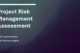 deliver a project risk assessment and improvement plan