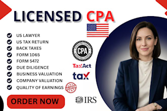 do accounting, US tax return, bookkeeping, finance and audit as senior auditor