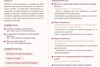 create a professional CV and resume that stands out