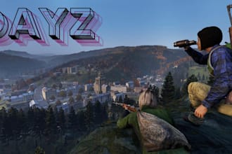 setup a custom dayz server for you