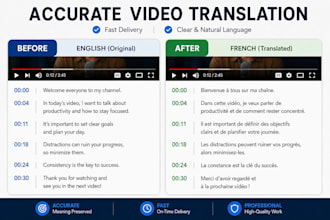 provide accurate video translation services