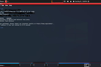 do professional web vulnerability scanning and pen testing