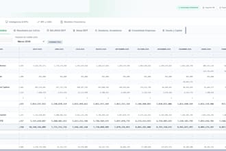 deliver a financial reporting, systems and automation services