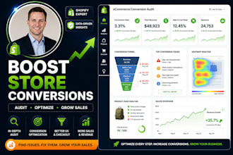 do a professional ecommerce conversion audit and optimization plan