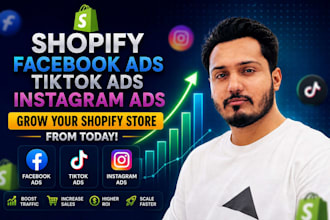 be your shopify facebook ads campaign expert
