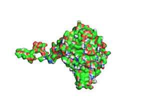 create professional protein visualisation figures for your paper