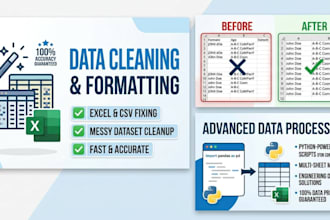 do professional excel data formatting and data cleaning
