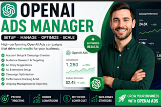 set up, manage, and optimize openai ads campaigns for your business