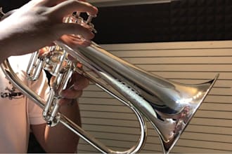 record trombone, trumpet, french horn, saxophone, harmonica and flugelhorn track