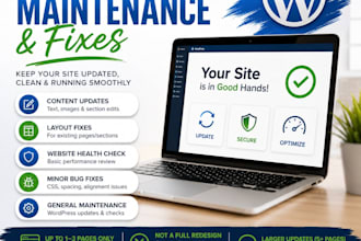 do wordpress updates and fixes