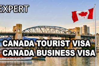 be your canada visa consultant handle application or ensure high approval