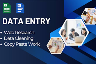 do expert data entry and web research