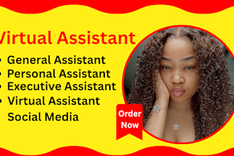 general virtual assistant personal executive virtual assistant social media VA