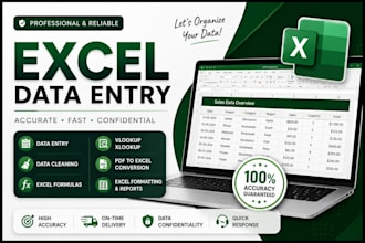do excel data entry and data typing