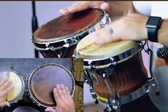 record conga, vibraphone, bongo, tabla, cajon,talking drum, timpani and shekere