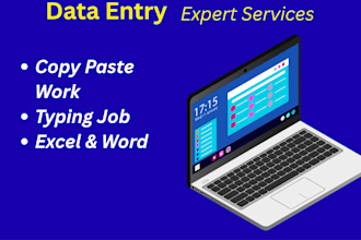 expert data entry work