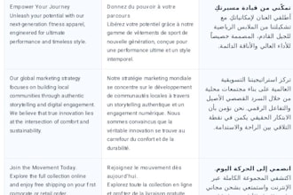 provide professional translation between ar, fr, and en