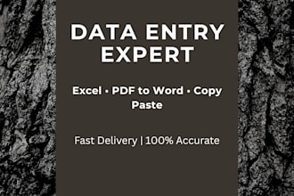 do fast and accurate data entry and typing work