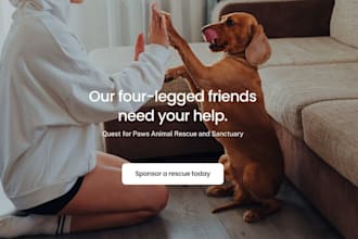 design redesign squarespace dog training website dog grooming pet care website