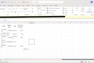 clean, organize, format, and validate your excel or CSV data