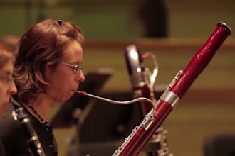 record flute, piccolo oboe clarinet, bassoon,contrabassoon saxophone ,harmonica