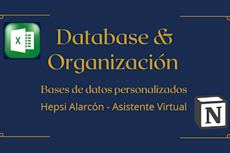 creación de bases de datos en notion y excel para tu negocio