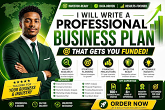 prepare an investor ready business plan with financial plan for startups