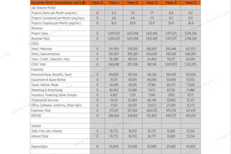 deliver a bank ready business plan with financial projections