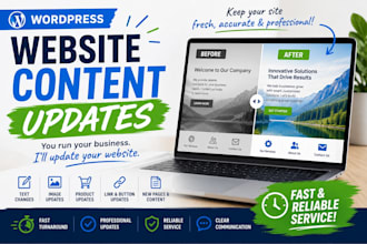 make professional updates to your wordpress website