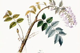 create a botanical illustration in the traditional watercolor technique