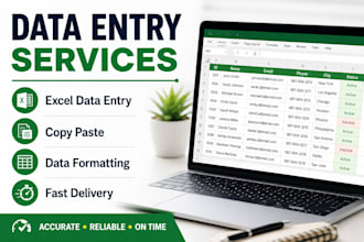 do data entry, copy paste, and excel data formatting