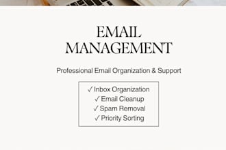 organize and manage your email inbox professionally