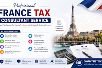 professional french tax return , expat tax services and be your tax consultant