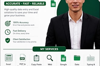 do accurate excel data entry, copy paste and web research