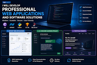 develop professional web applications and software solutions