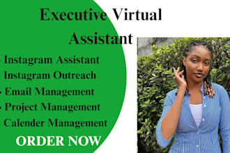 be executive virtual assistant personal virtual assistant canva social media VA