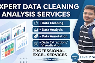 do accurate data annoatation, analysis and excel reporting