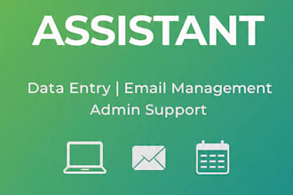 expert data entry excel virtual assistant