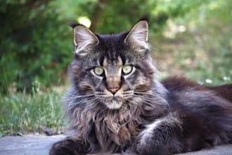 fotos bearbeiten und verbessern