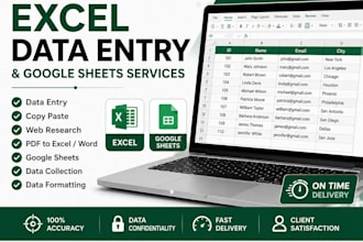 do excel data entry and google sheets work