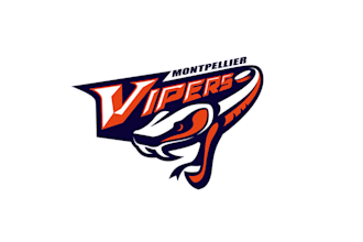 design special ice hockey team vipers logo