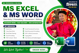 microsoft excel data entry, formatting, formulas, charts,