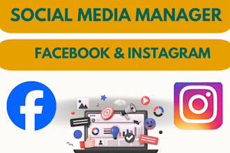 be your facebook and instagram manager