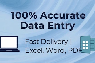 do accurate data entry copy paste and excel work
